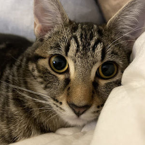 Meet your Posher, Gina